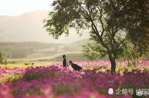 李强订立邦务院令 布告《邦务院合于施行〈中华公民共和邦公执法〉注册成本立案收拾轨制的法规》
